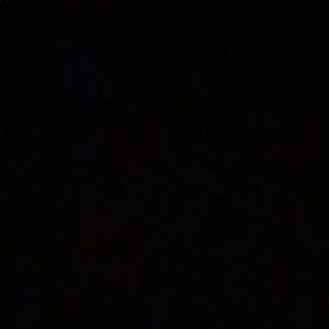 Meet your Posher, Cody